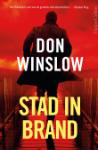 Stad_in_brand__Danny_Ryan__1_