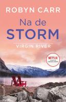 Na_de_storm