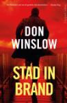 Stad_in_brand__Danny_Ryan__1_